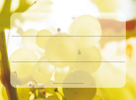 Label for Etiktou support - white grapes design